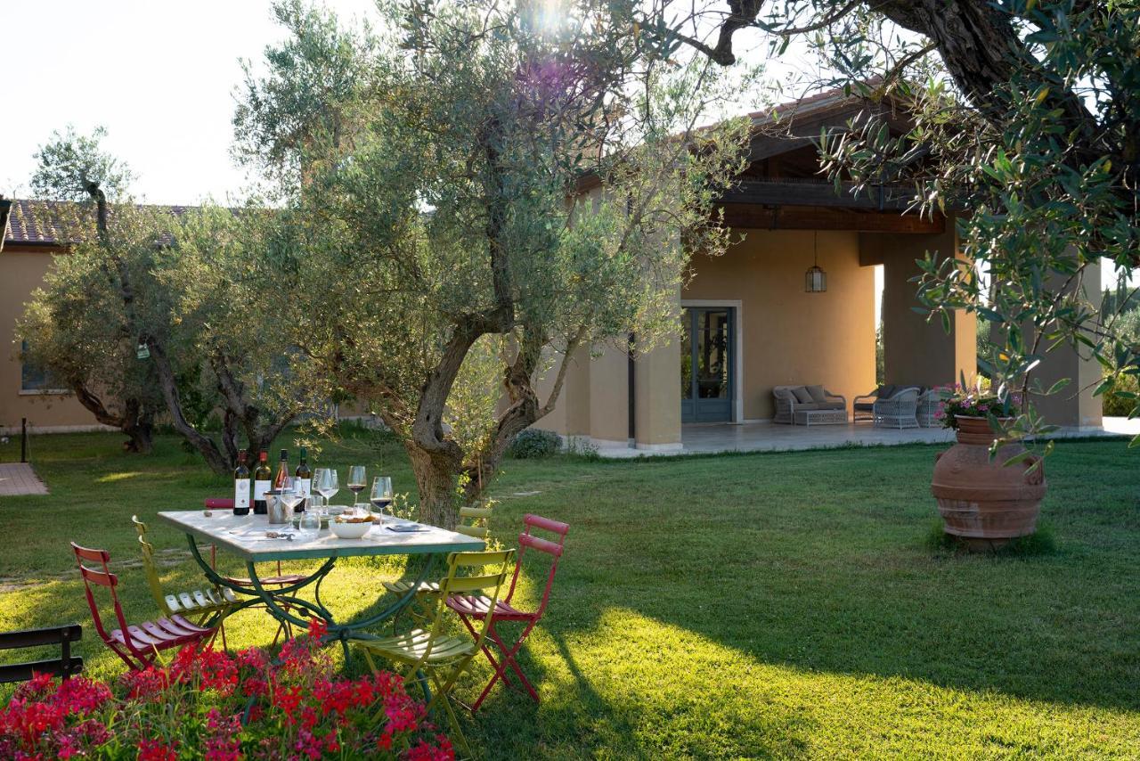 Agriturismo Tra Gli Ulivi, Chiappini Winery Bolgheri Exterior photo