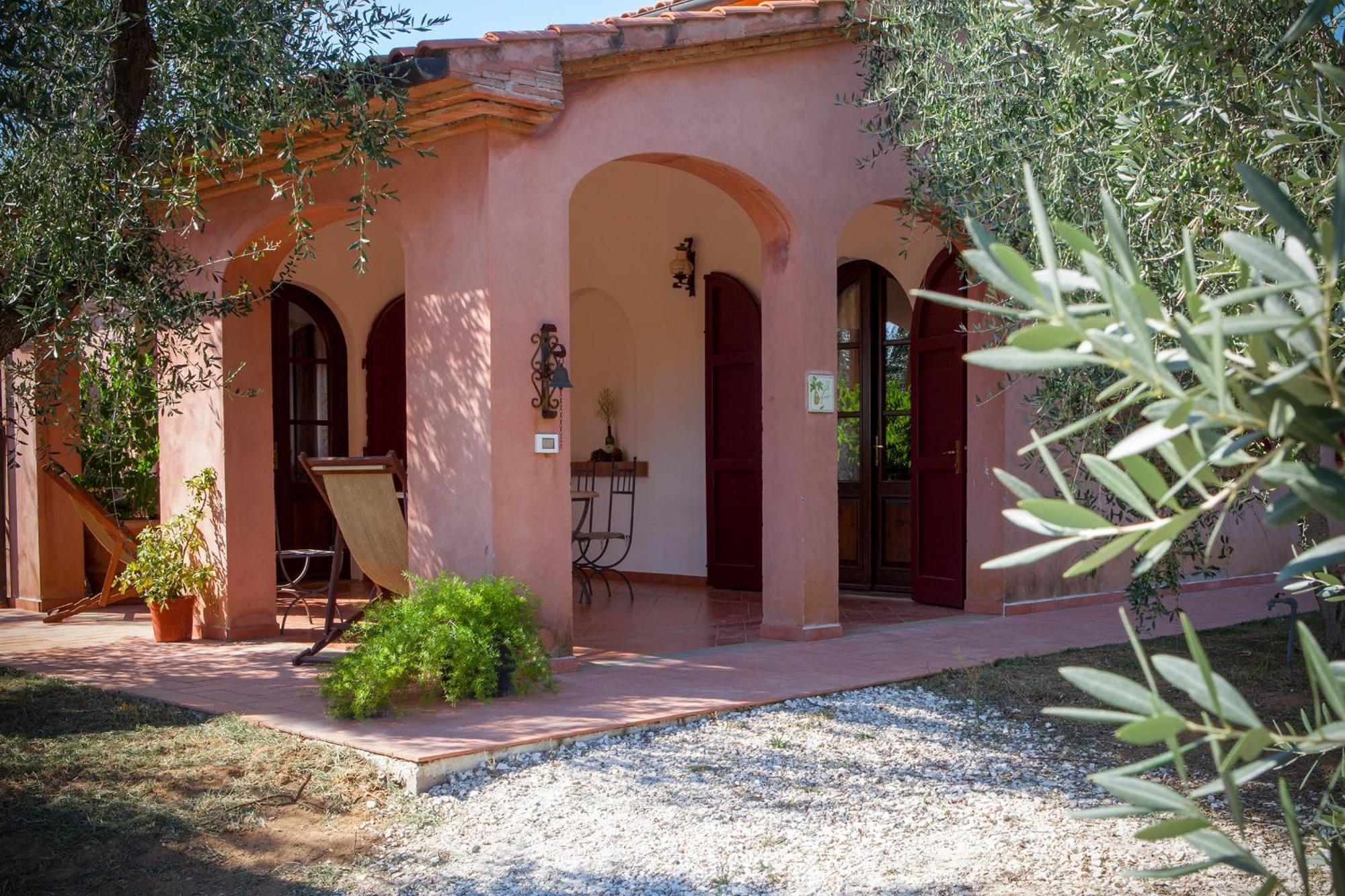 Agriturismo Tra Gli Ulivi, Chiappini Winery Bolgheri Exterior photo