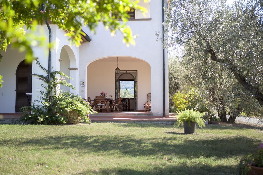 Agriturismo Tra Gli Ulivi, Chiappini Winery Bolgheri Exterior photo