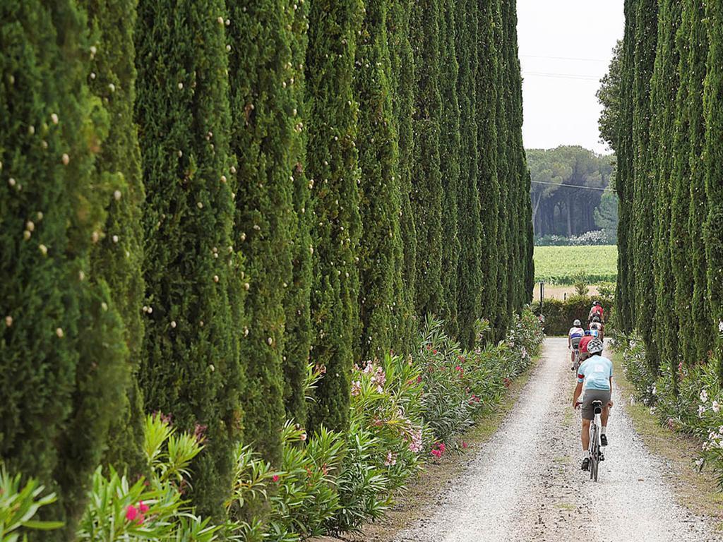 Agriturismo Tra Gli Ulivi, Chiappini Winery Bolgheri Exterior photo
