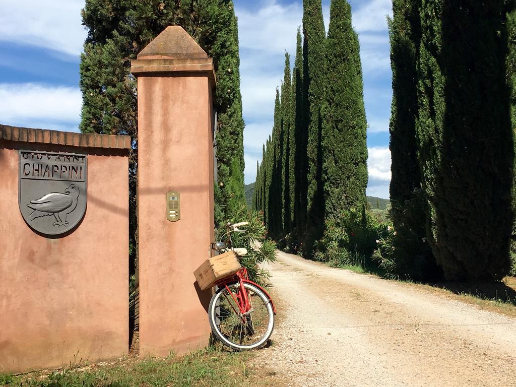 Agriturismo Tra Gli Ulivi, Chiappini Winery Bolgheri Exterior photo