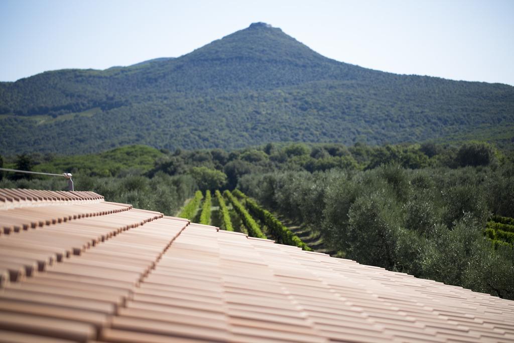 Agriturismo Tra Gli Ulivi, Chiappini Winery Bolgheri Exterior photo